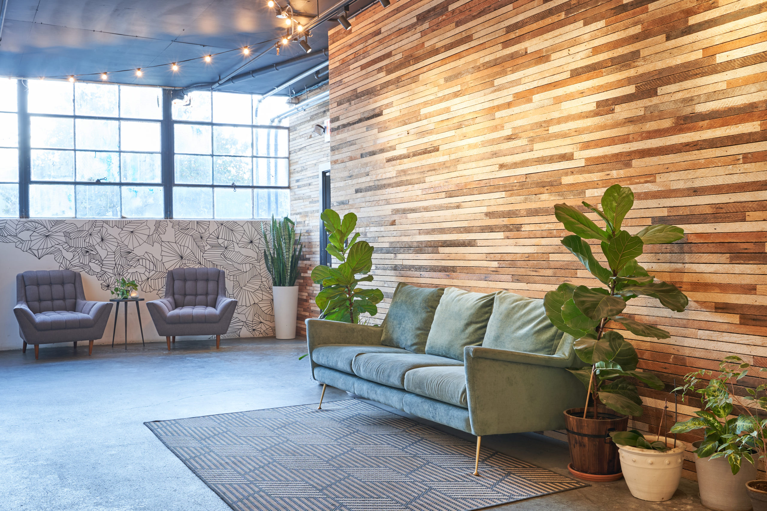 A close up shot of a green sofa that is flanked by two standing plants and that is set against a wood paneled wall. There are also two chairs against a wall with windows in the best shared offices Berkeley has right now.
