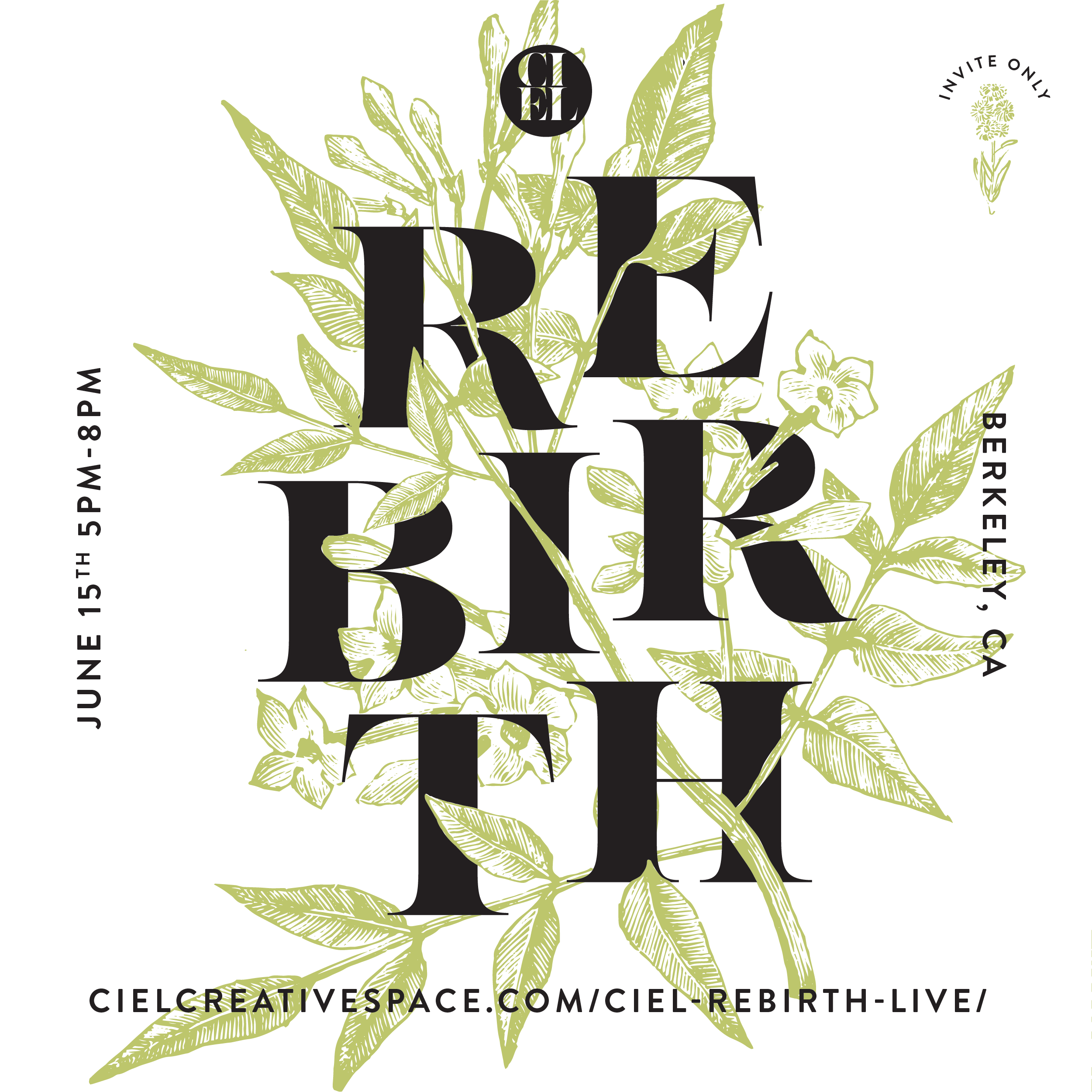 Rebirth Flyer