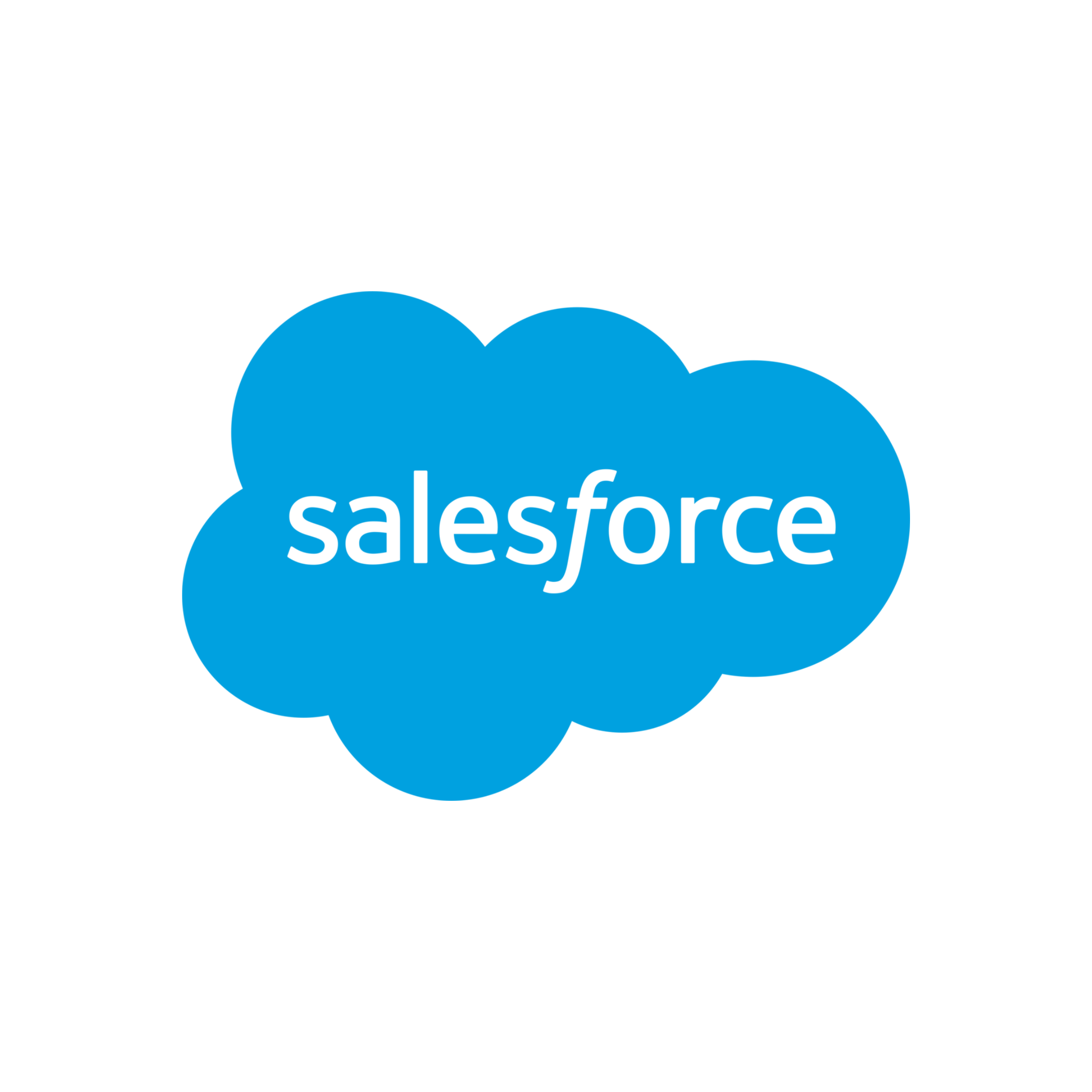 Ciel Past Client - Salesforce